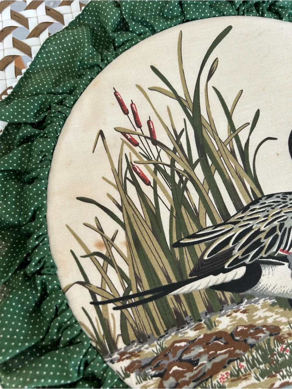 Vintage Green fabric Duck Wall Art